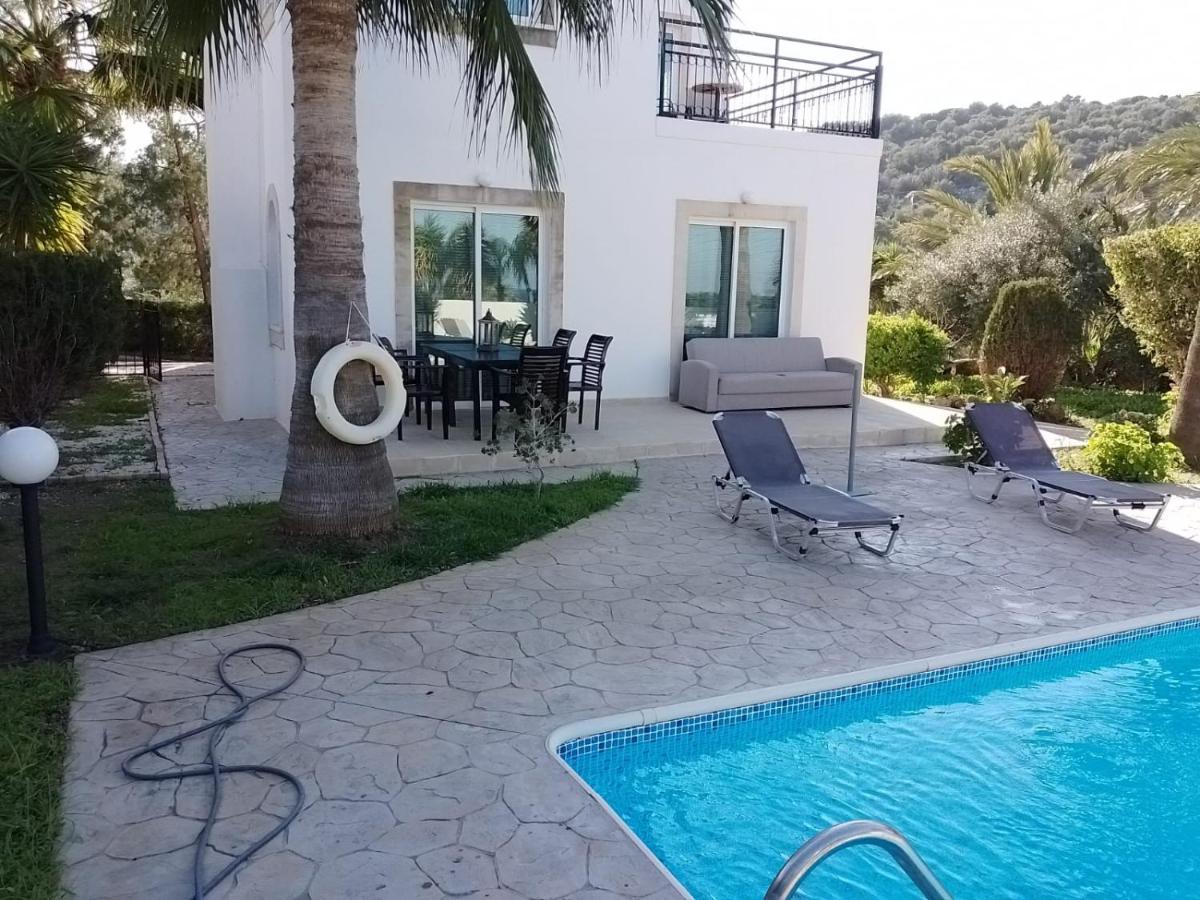 Villa Chrysanthemum Neo Chorio Zewnętrze zdjęcie